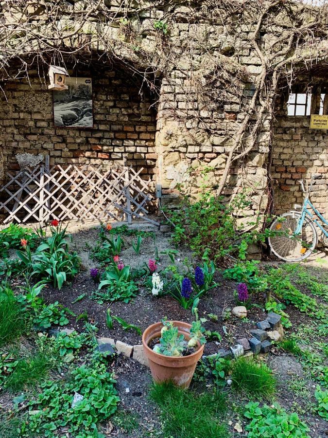 House With Courtyard & Parking Close To Stadtpark Відень Екстер'єр фото